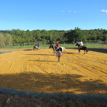 Capdrot Gite Equestre Domaine Des Crins - Biron מראה חיצוני תמונה