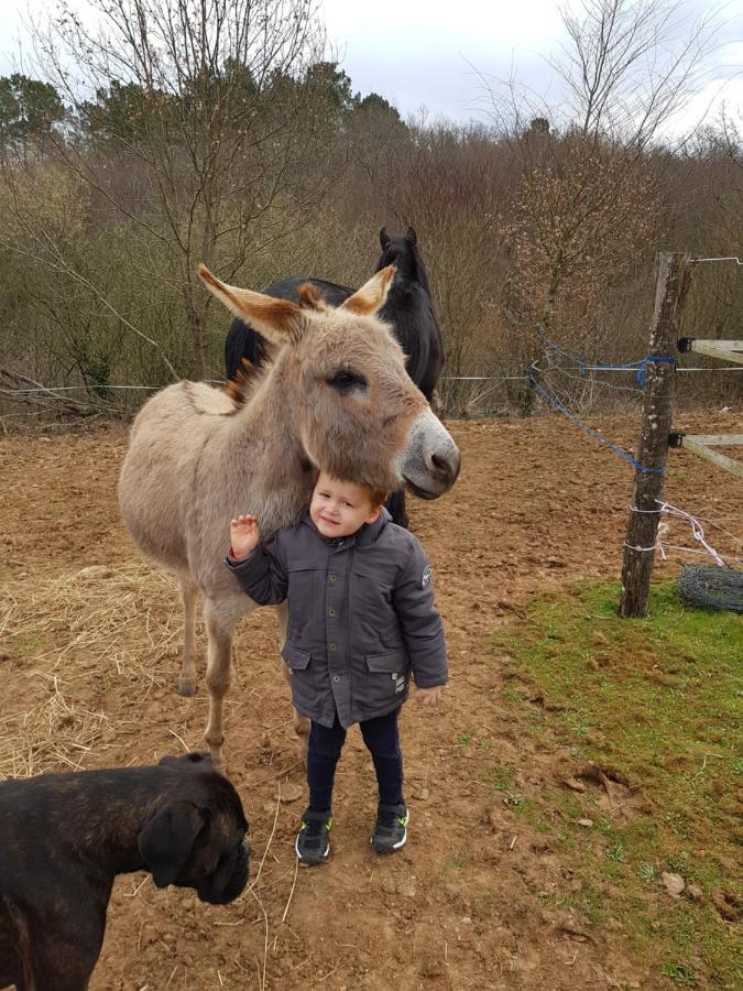 Capdrot Gite Equestre Domaine Des Crins - Biron מראה חיצוני תמונה