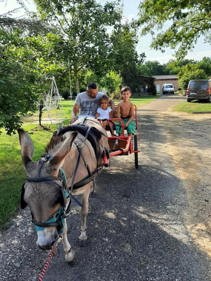 Capdrot Gite Equestre Domaine Des Crins - Biron מראה חיצוני תמונה