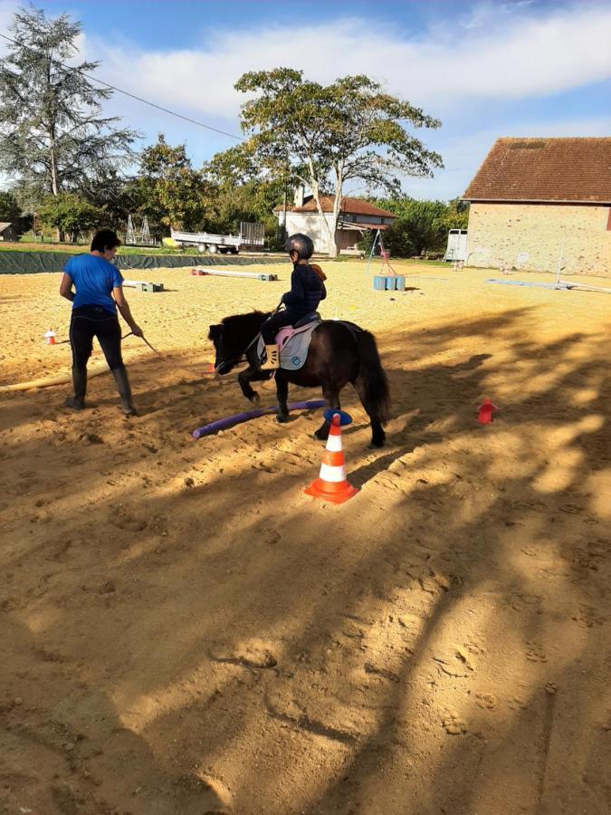 Capdrot Gite Equestre Domaine Des Crins - Biron מראה חיצוני תמונה